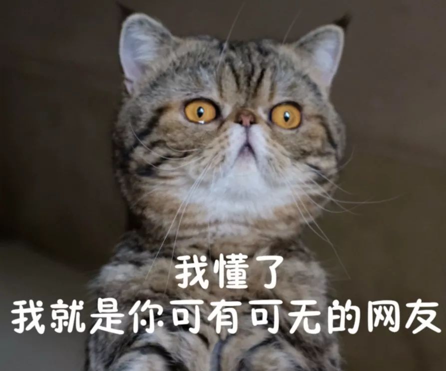 全新猫咪斗图表情包来啦