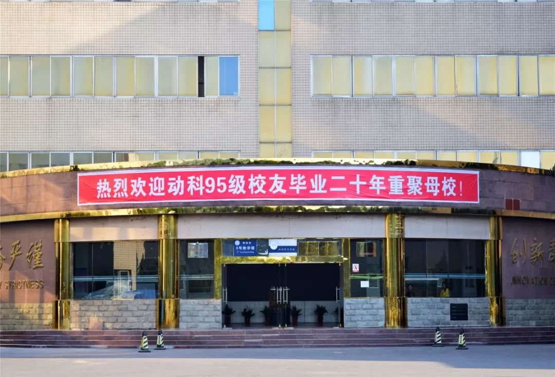 祝福的同时彰显着别样的风采拉起的红底白字或红底黄字的横幅学校门口