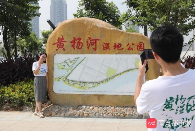 珠海黃楊河溼地公園開園了國慶期間多了一個遊玩打卡好去處