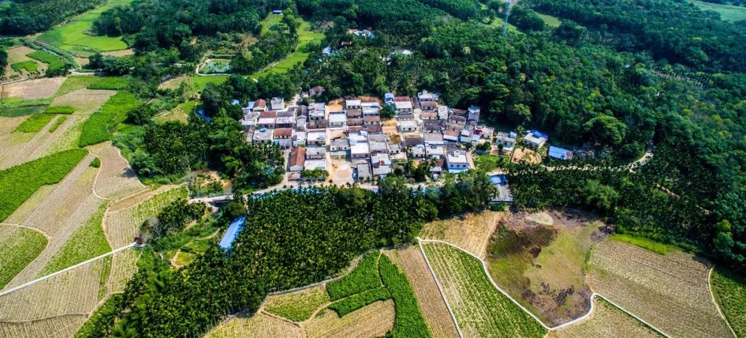 家乡美家乡富海南琼中勾画山村富美图