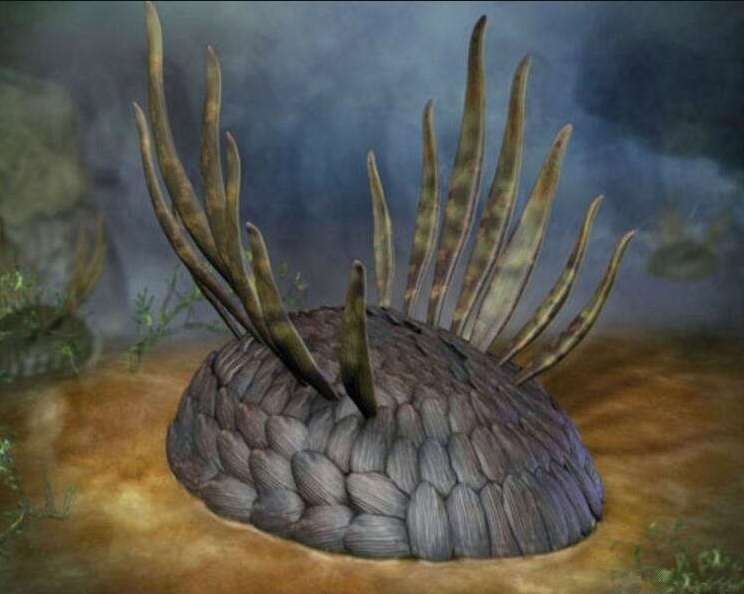 直击地球上最早的生物,最奇怪的有5眼海蝎长相怪异