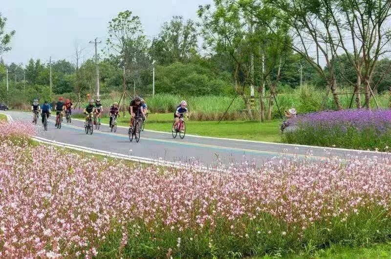 顺应"路水田林湖"自然肌理,利用绿道整合"六湾五林三湿地"生态资源