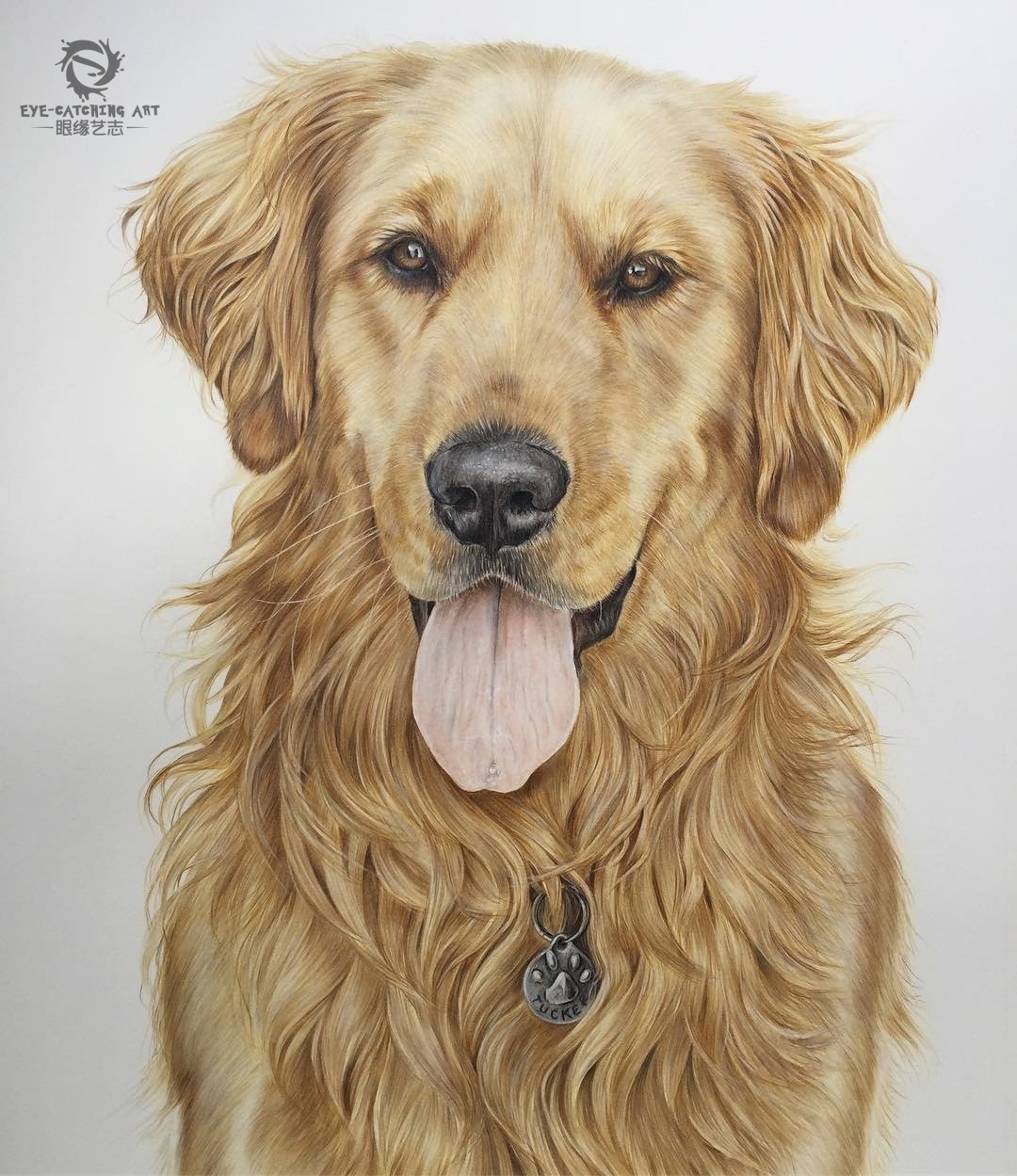 这组超写实宠物狗彩铅手绘,你看能打几分?