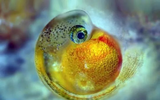 【国庆7天乐 - 第2天 】-嗨翻农场科技show!