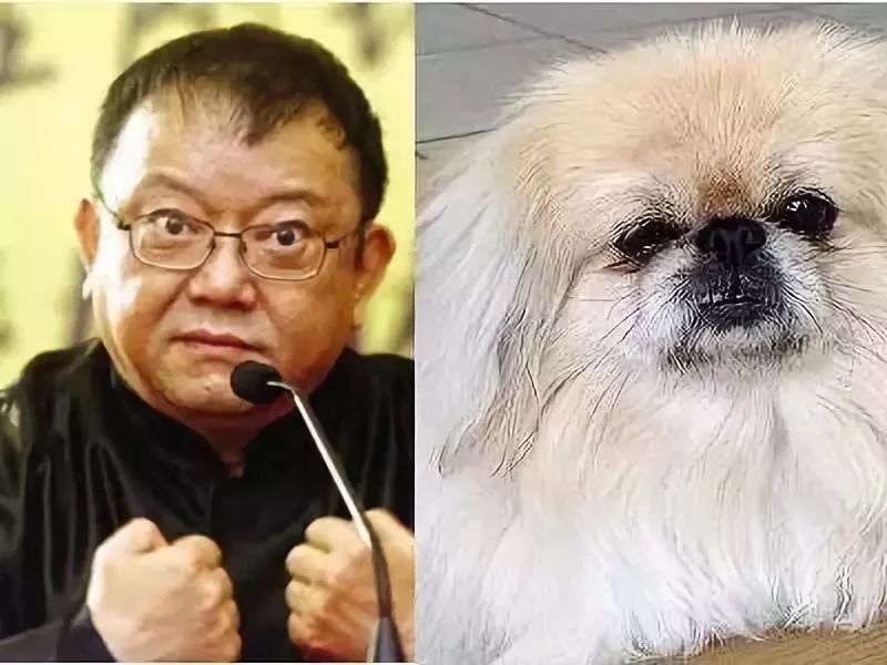 欧阳震华王宝强李易峰杨幂林更新冯小刚普京唐嫣李荣浩周冬雨范冰冰