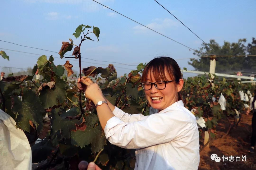 运营总监熊总和家人们合影苏总和家人们一起合影硕果累累,紫红的葡萄