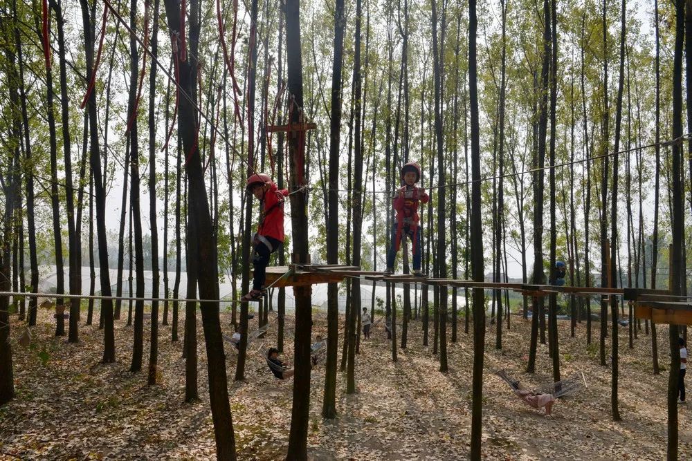 国庆去哪玩探营庐江天鸣花海数万名游客慕名而来