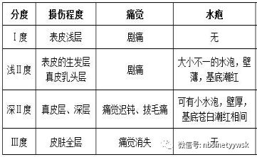 要點一:燒傷知識小課堂送至我科後,我科醫生迅速對豪豪燒傷面積,深度