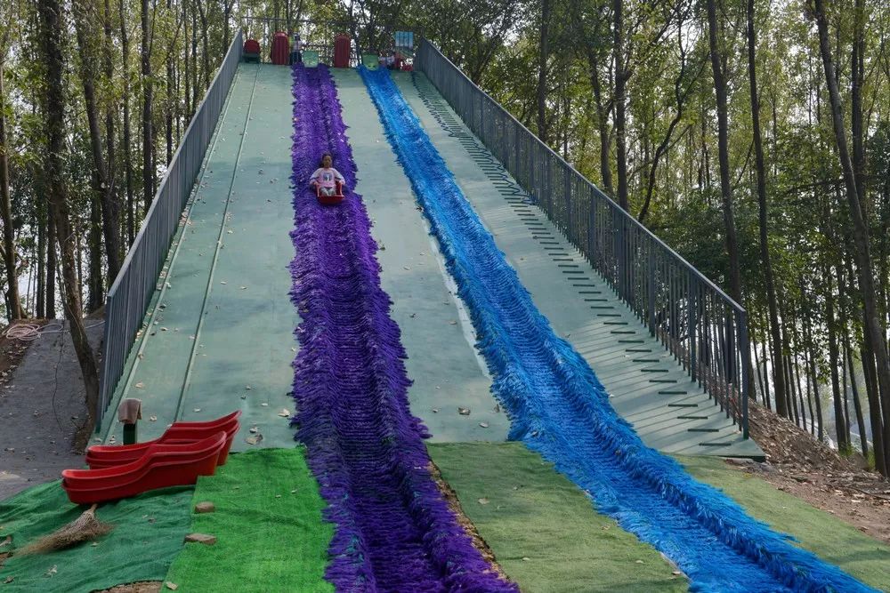 国庆去哪玩探营庐江天鸣花海数万名游客慕名而来