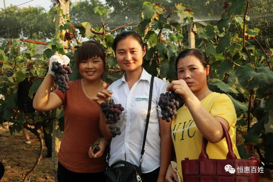 乐享生活泌阳老百姓大药房管理层生态果园游记