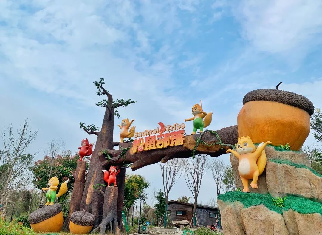 1000只可爱的小松鼠空降郑州200亩森林户外亲子乐园近30个游玩项目