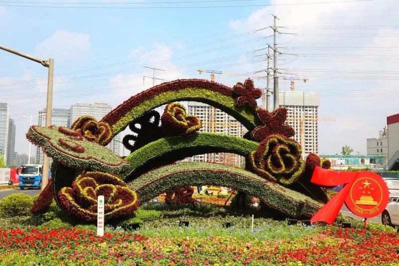 国庆献礼之一普陀区国庆绿雕花箱闪亮登场