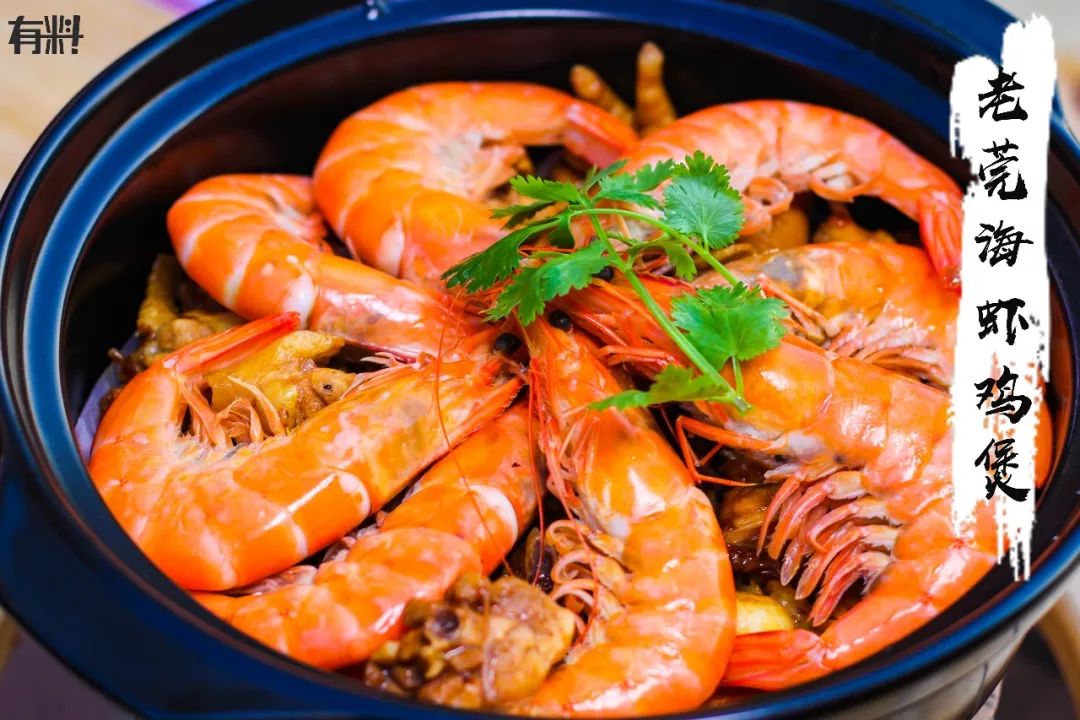 劲爆!东莞鲍鱼鸡煲界霸主再度来袭!凌晨1点还有人找过去.