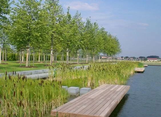 滨水景观如何亲水