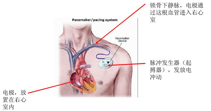 教大家一個簡單的計算心率的辦法:一手放在另一手大拇指一側的手腕