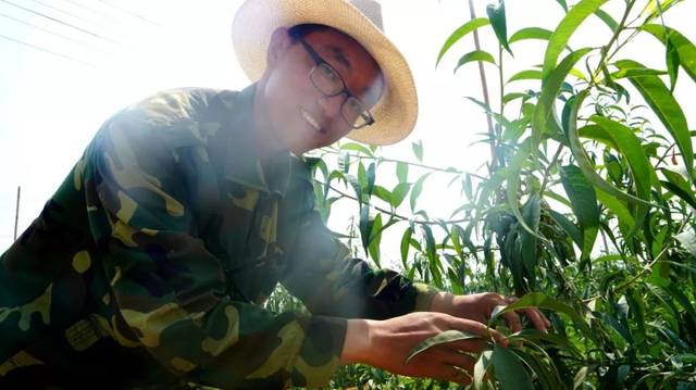 90后的新型职业农民