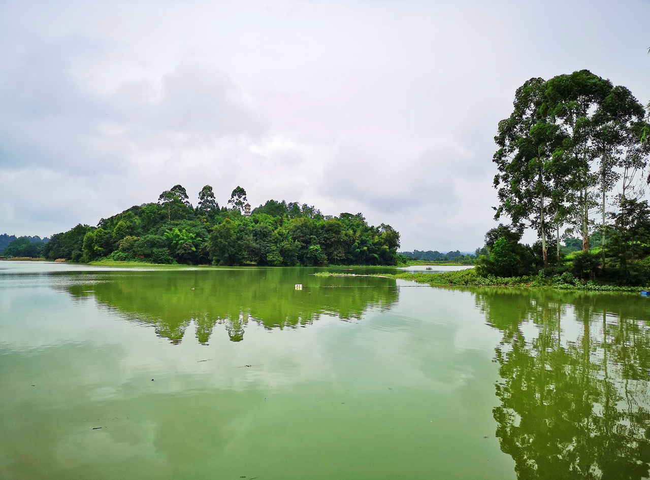 绿水青山,茶香幽远——雅安名山旅游推荐