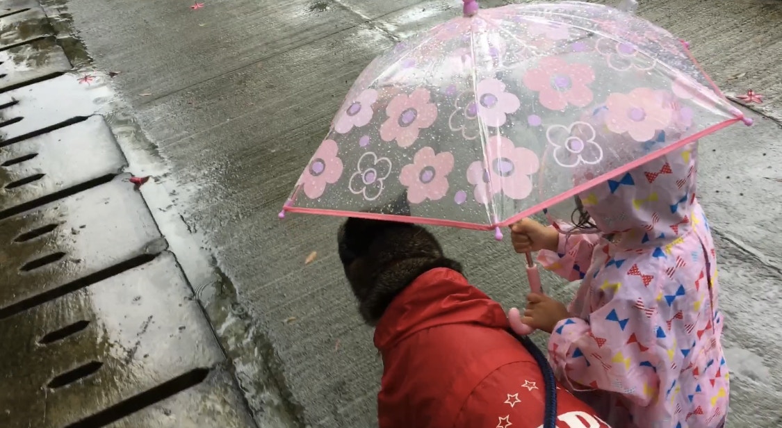 萌娃帮14岁老狗撑伞妈妈看见这一幕心被融化