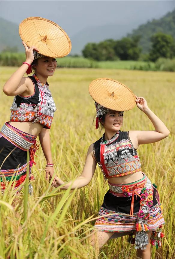 新平花腰傣研究者陶贵学认为,花腰傣文化在国际文化中是原生性的,还