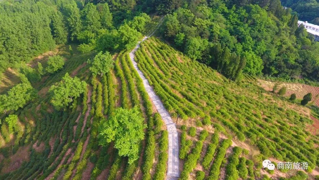 【喜报】富水镇荣获"全国一村一品示范镇"称号