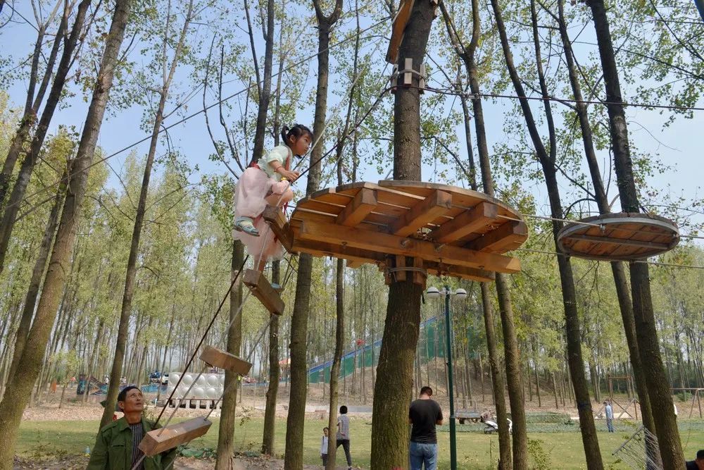 国庆去哪玩探营庐江天鸣花海数万名游客慕名而来