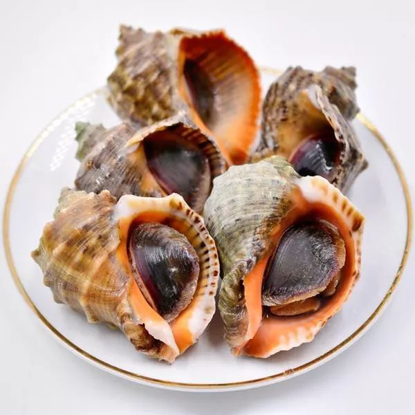 乳山生蚝：一场味蕾上的海洋盛宴