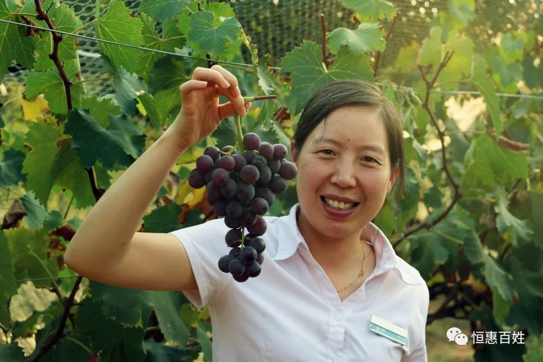 运营总监熊总和家人们合影苏总和家人们一起合影硕果累累,紫红的葡萄