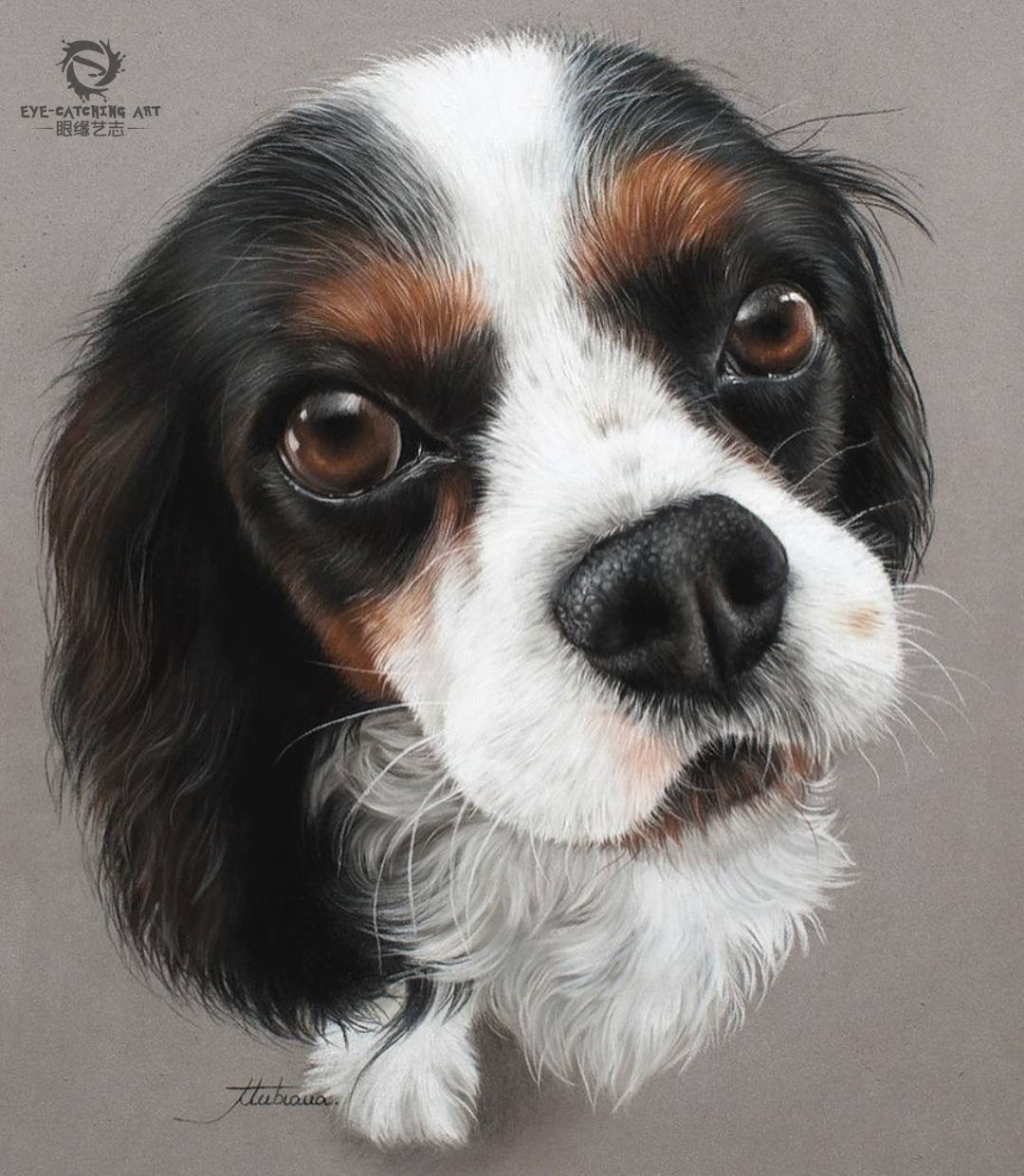 这组超写实宠物狗彩铅手绘,你看能打几分?_动物