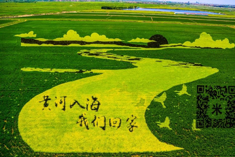 垦利稻田画景区图片