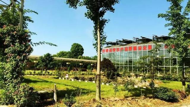 十一假期推荐军垦农场五夫生态园!