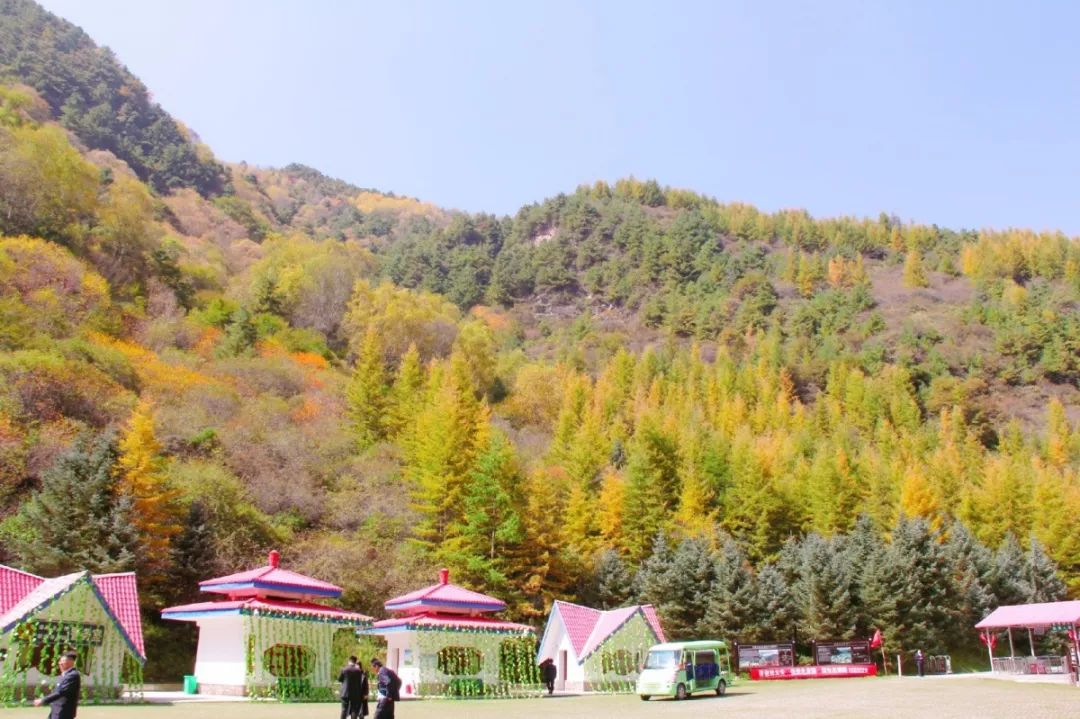 "十一"假期第二天,游客们逛次逛次纷至沓来,悠闲的浪森林公园,野荷谷