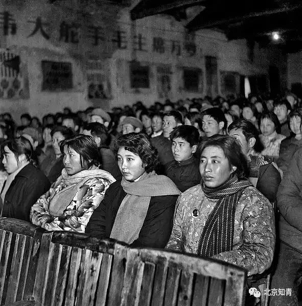 一组老照片告诉你当年知青在农村那些事