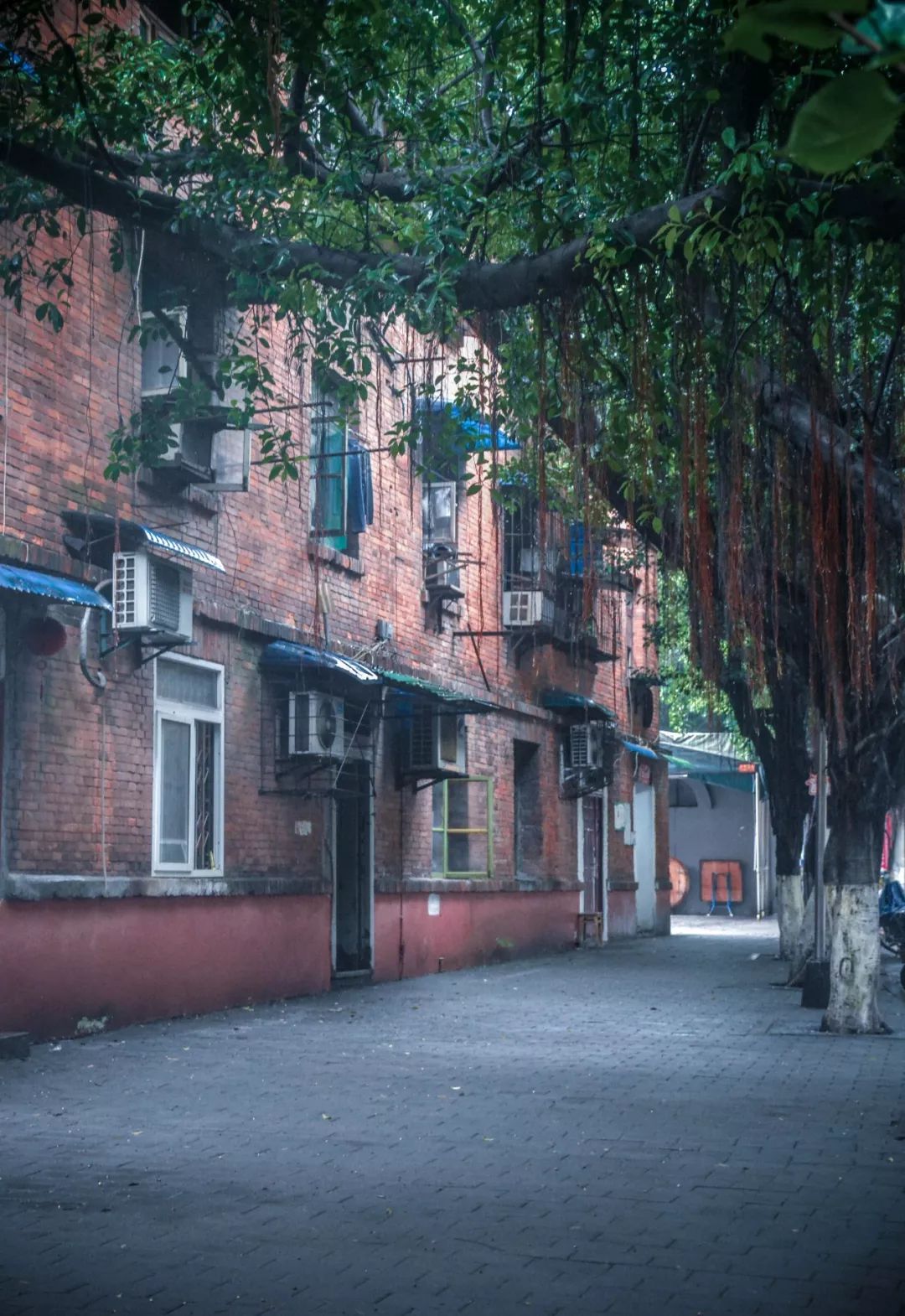 重庆街坊邻居拍摄地点图片