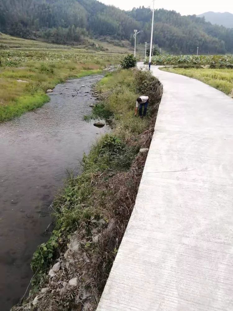 環境治理建寧縣的河長們假期不打烊國慶巡河忙