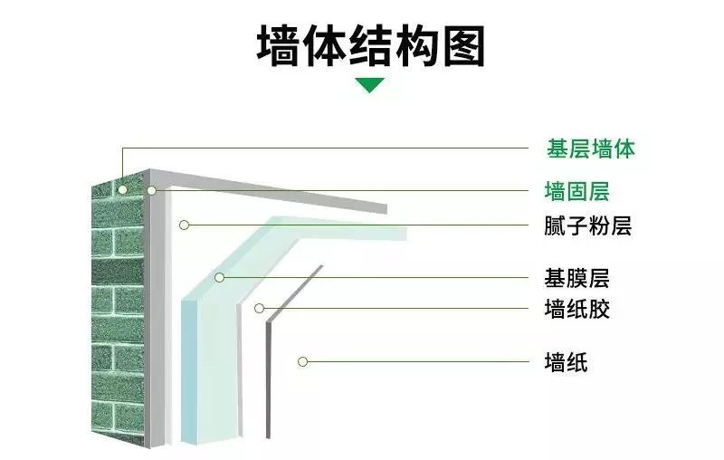 糖主支招|墙固什么时候刷?