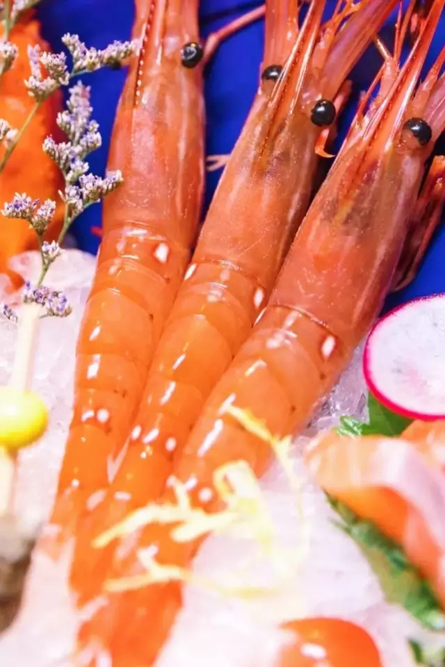 牡丹虾品种图片
