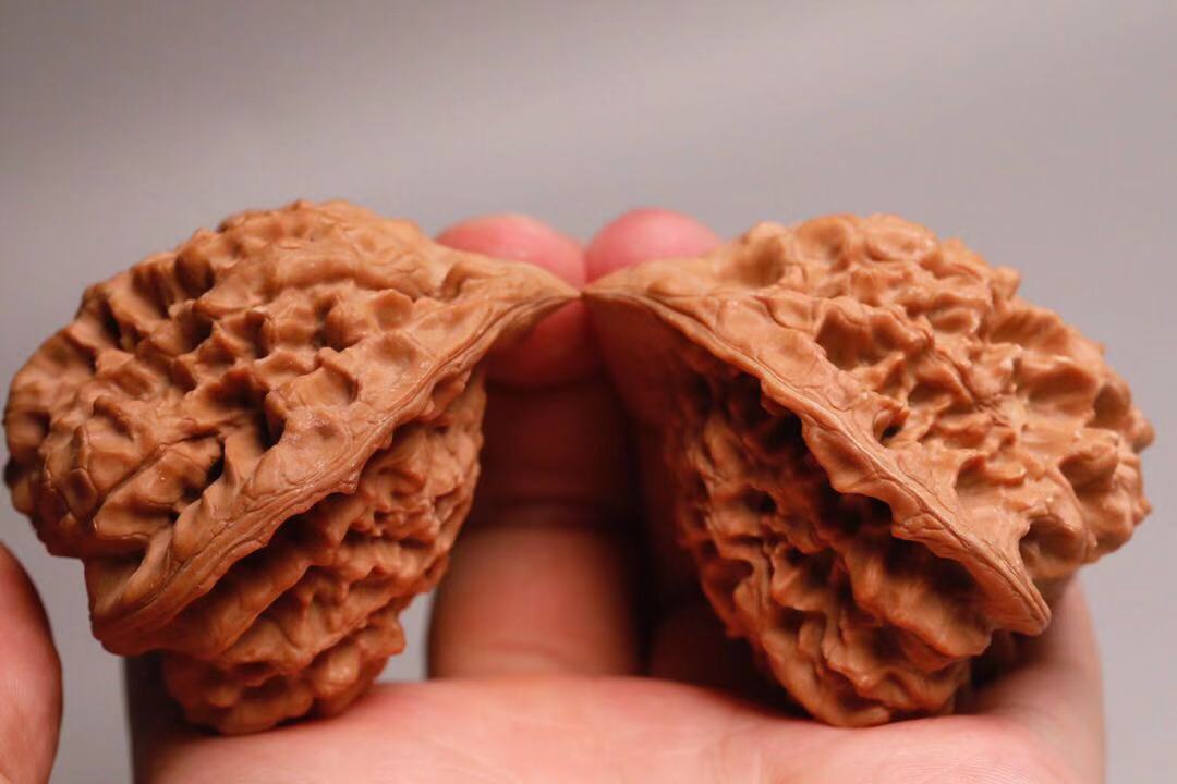 文玩核桃中的另类异形核桃