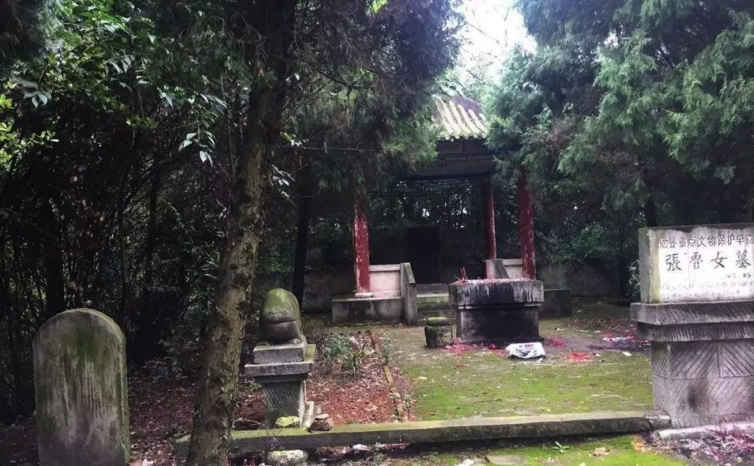 最早记载张鲁女墓祠的史料,莫过于北魏郦道元的《水经注》:"(汉)水南