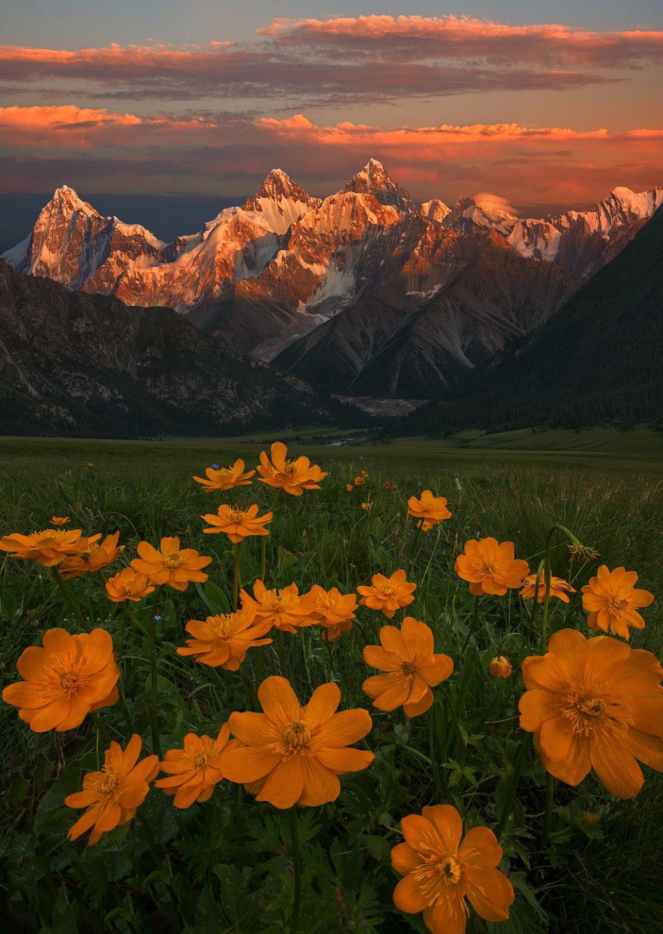 风光对焦必修技"超焦距",如何运用超焦距,拍出清晰风光大片?_景深