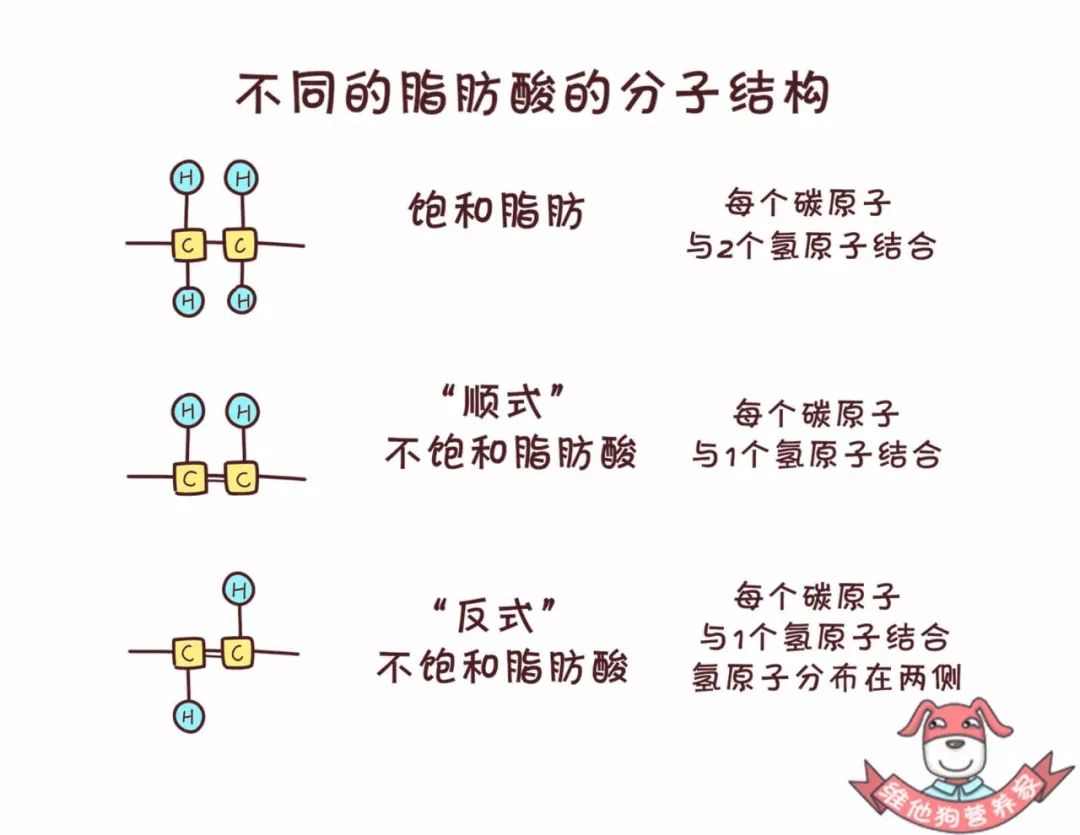 反式脂肪酸结构式图片