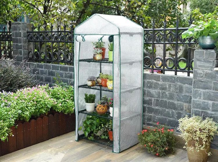 如果阳台上有个小温室我可以变出你想要的花果蔬