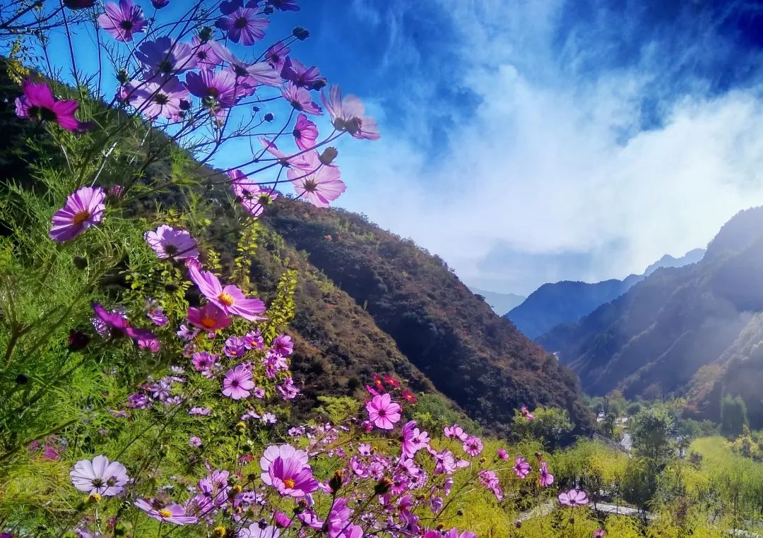 這座大山裡的世外桃源清幽唯美有著最真實的詩與遠方