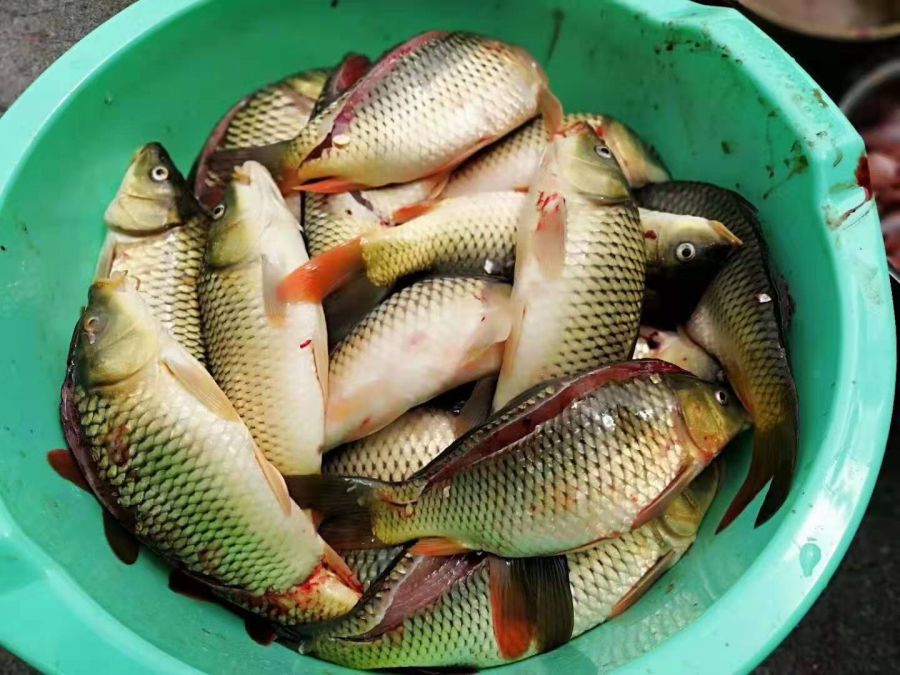 微微走天下湘西稻花鱼