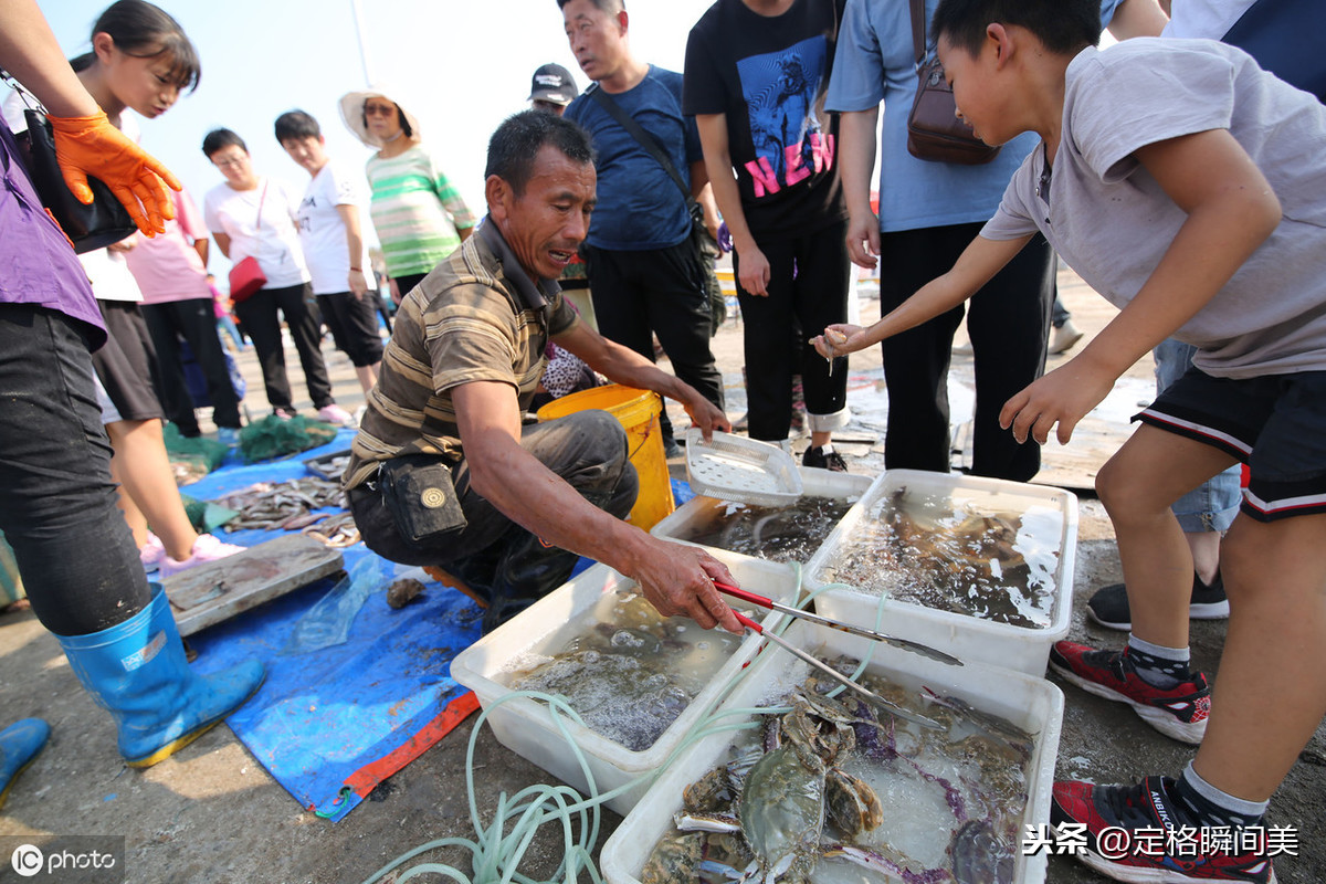 金秋十月打卡青岛沙子口码头 家常小海鲜满仓上岸市民扎堆选购