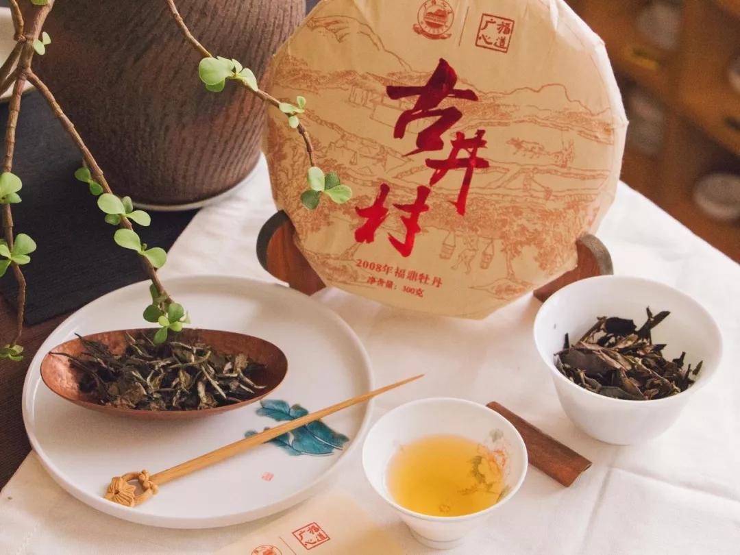 古井村追寻茶山情怀这里是我们的白茶梦最开始的地方朝花夕拾