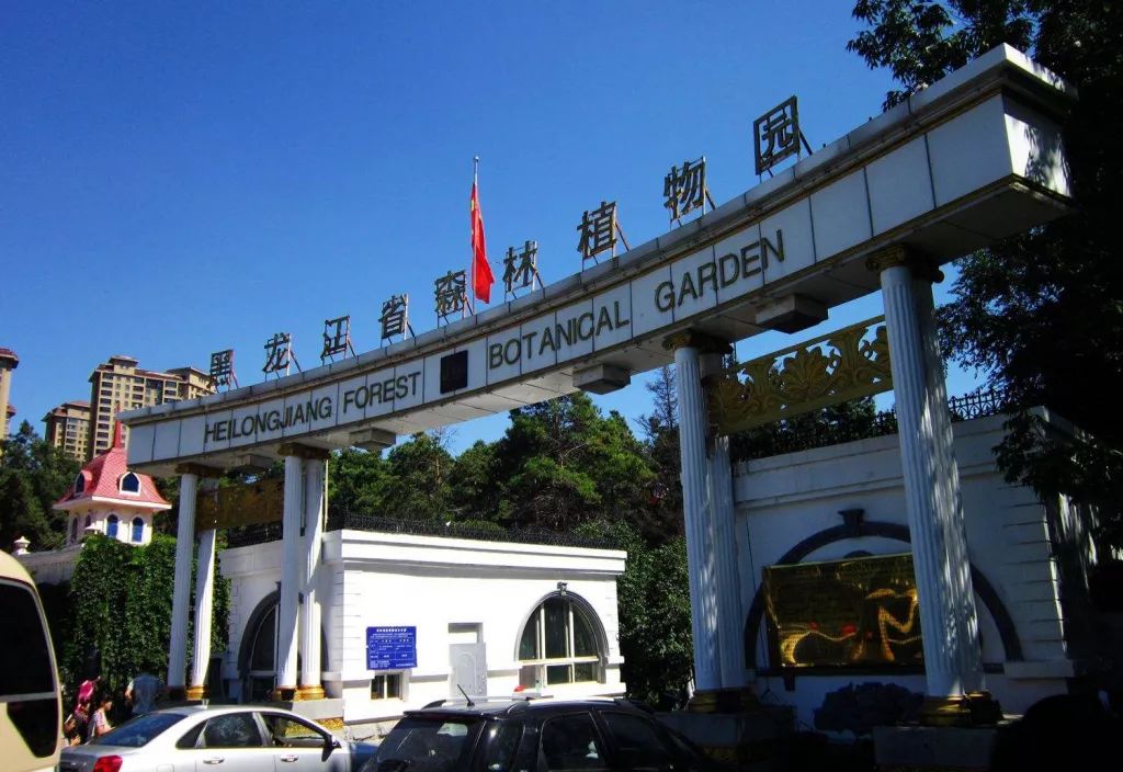 黑龙江省森林植物园对市民免费开放啦