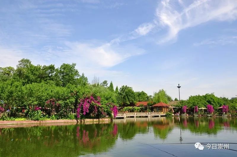 崇州的创智小镇服务保障重点企业我努力建设花香大划深刻诠释公园城市