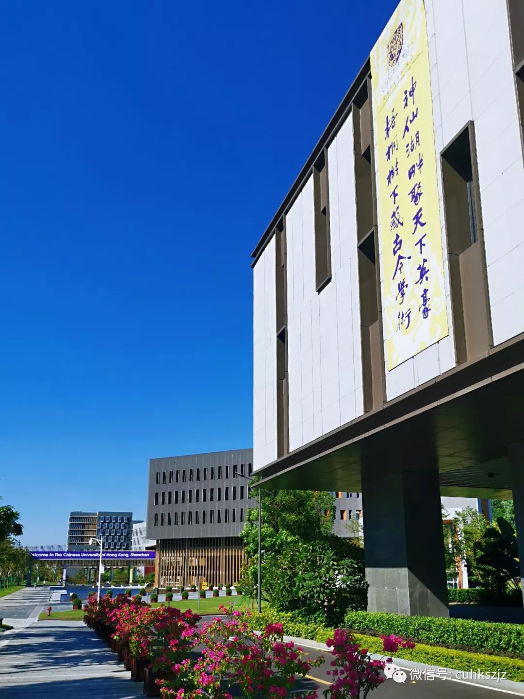 家长视角我们眼中的港中大深圳校园