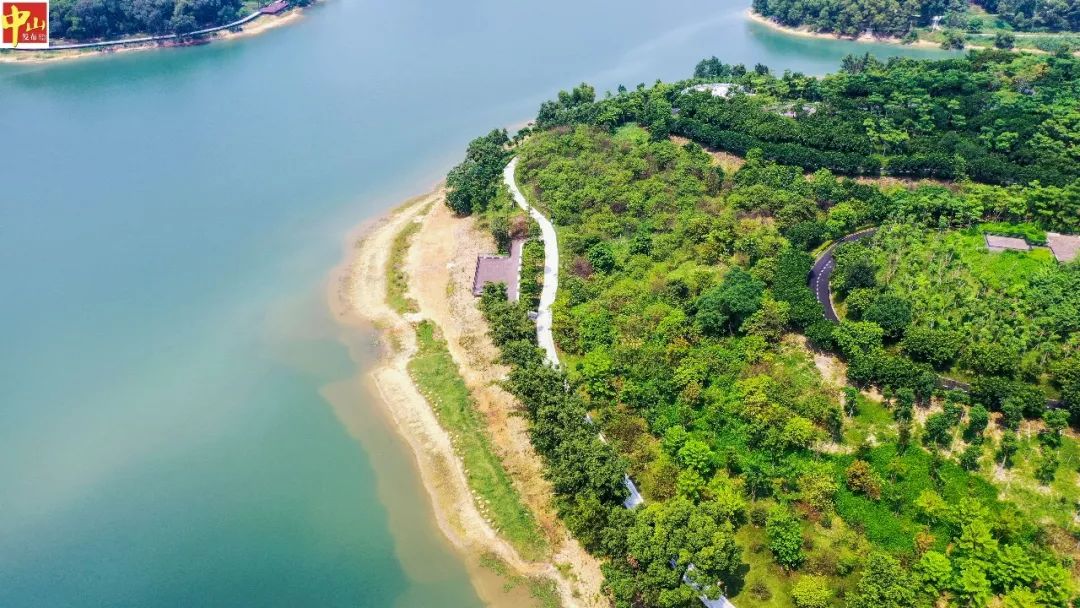 金钟湖公园试开放一大早停车场爆满园方提醒