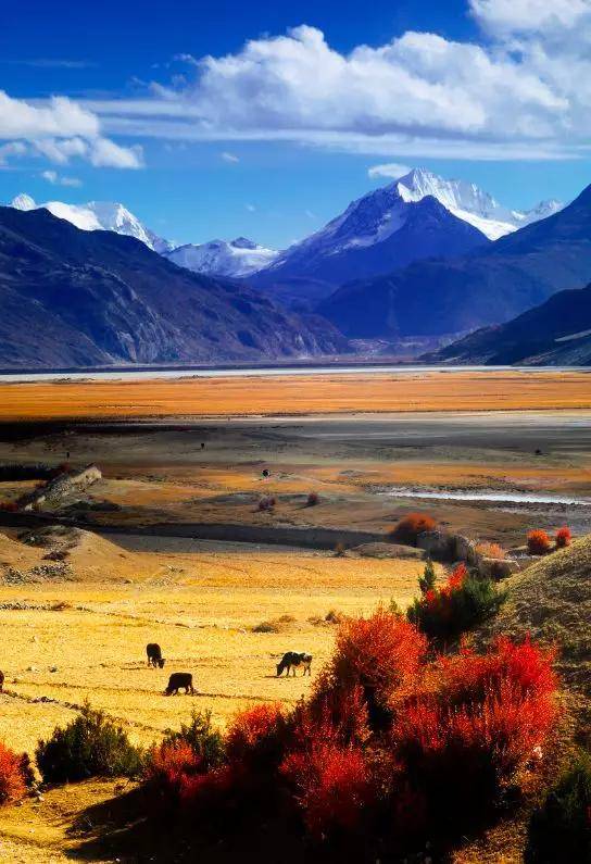 图:@有名堂 虽说是冰川,周围的景致却也会随着季节而变化.